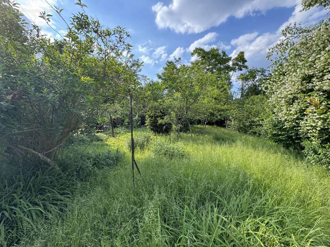 Maison à VERRIERES-LE-BUISSON