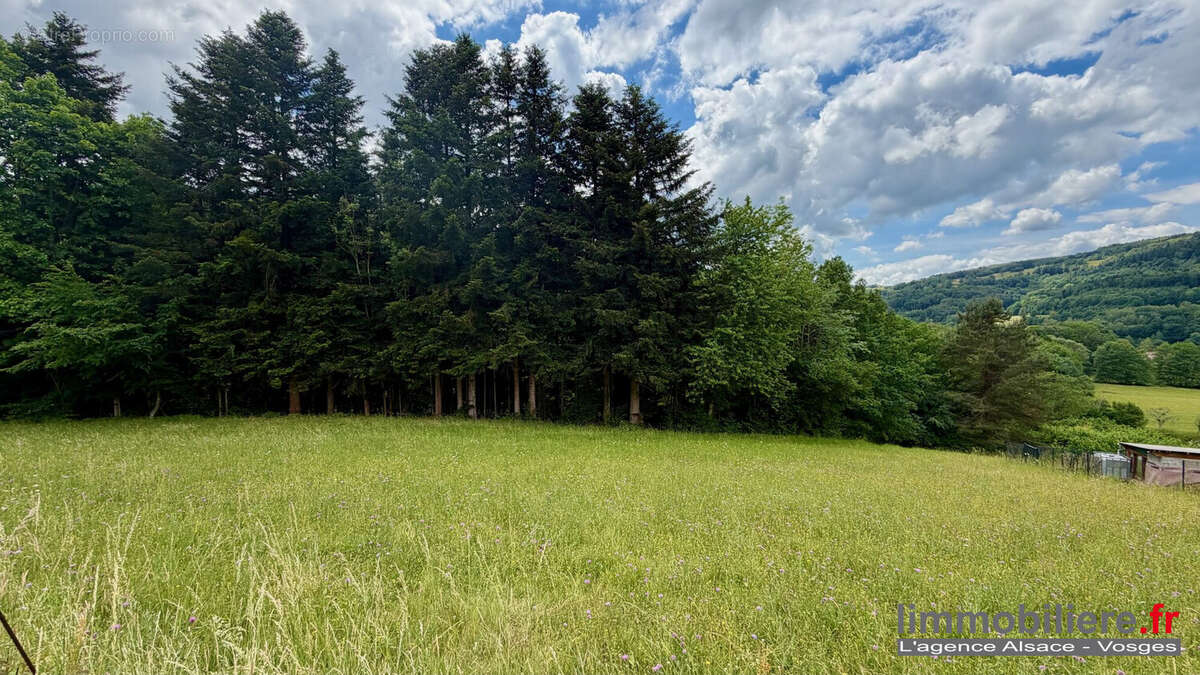 Terrain à BAN-DE-LAVELINE