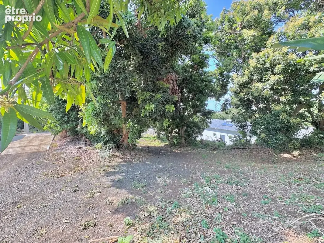 Terrain à vendre LA RIVIERE (974) - Terrain de 336m2 - photo 4