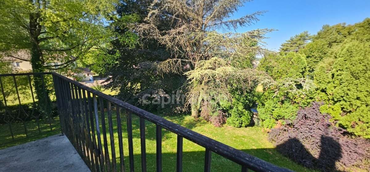 Maison d’Architecte avec grand jardin et sous sol complet- Mesnay / Arbois (39600) - photo 7