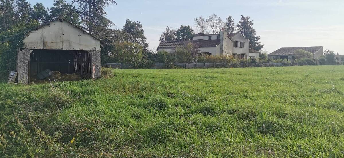Terrain à LE MAYET-D'ECOLE