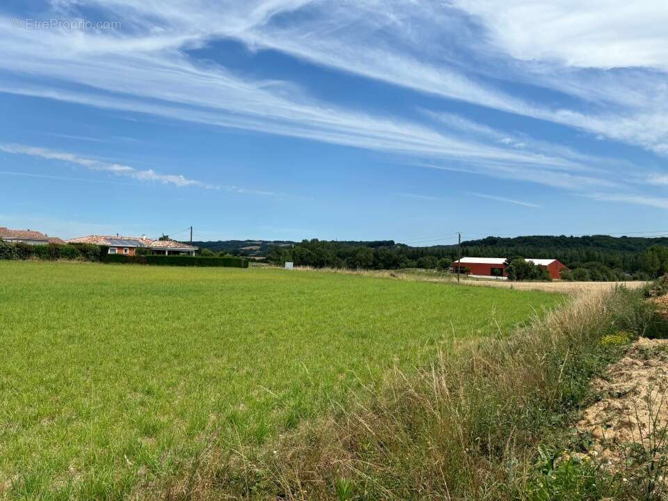 Terrain à SAINT-GAUZENS