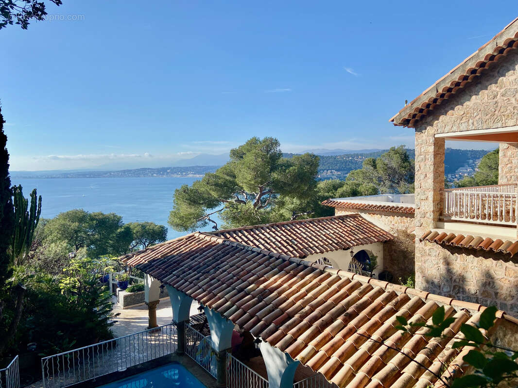 Cœur Saint-Jean Cap Ferrat magnifique projet de villa. - photo 9