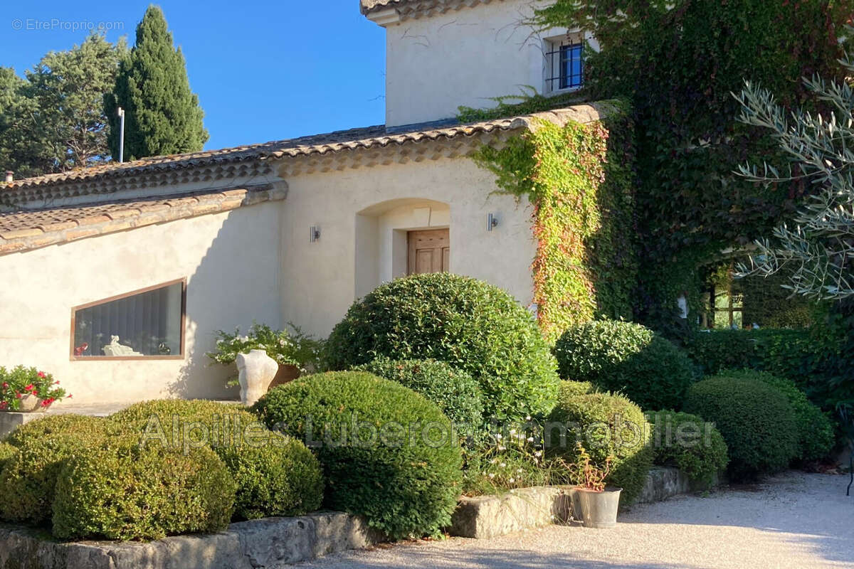 Maison à SAINT-REMY-DE-PROVENCE