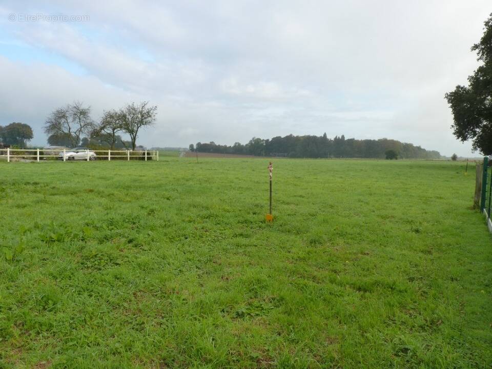 Terrain à SAINT-NICOLAS-DE-LA-HAIE