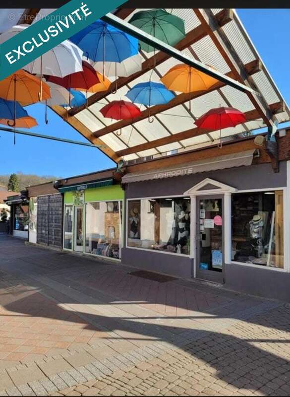 Photo 7 - Commerce à BRIEY