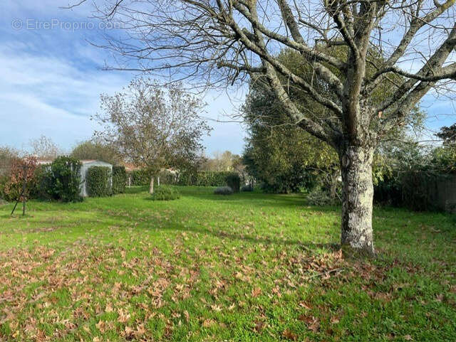 Terrain à CUSSAC-FORT-MEDOC