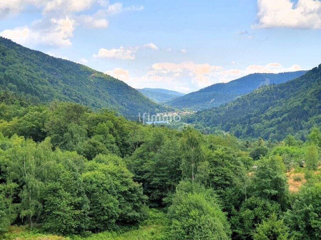 Appartement à SEWEN