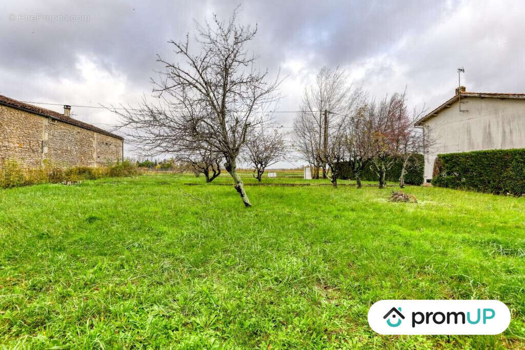 Terrain à BOUTIERS-SAINT-TROJAN