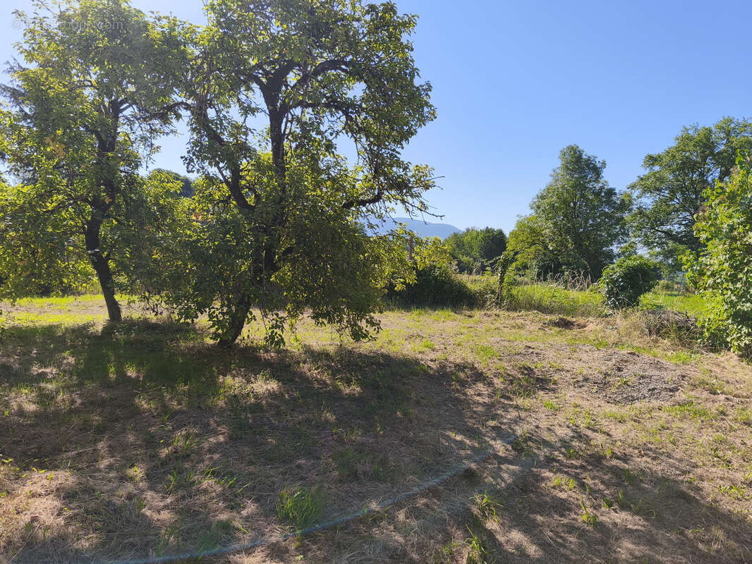 maison avec terrain et garage - photo 19