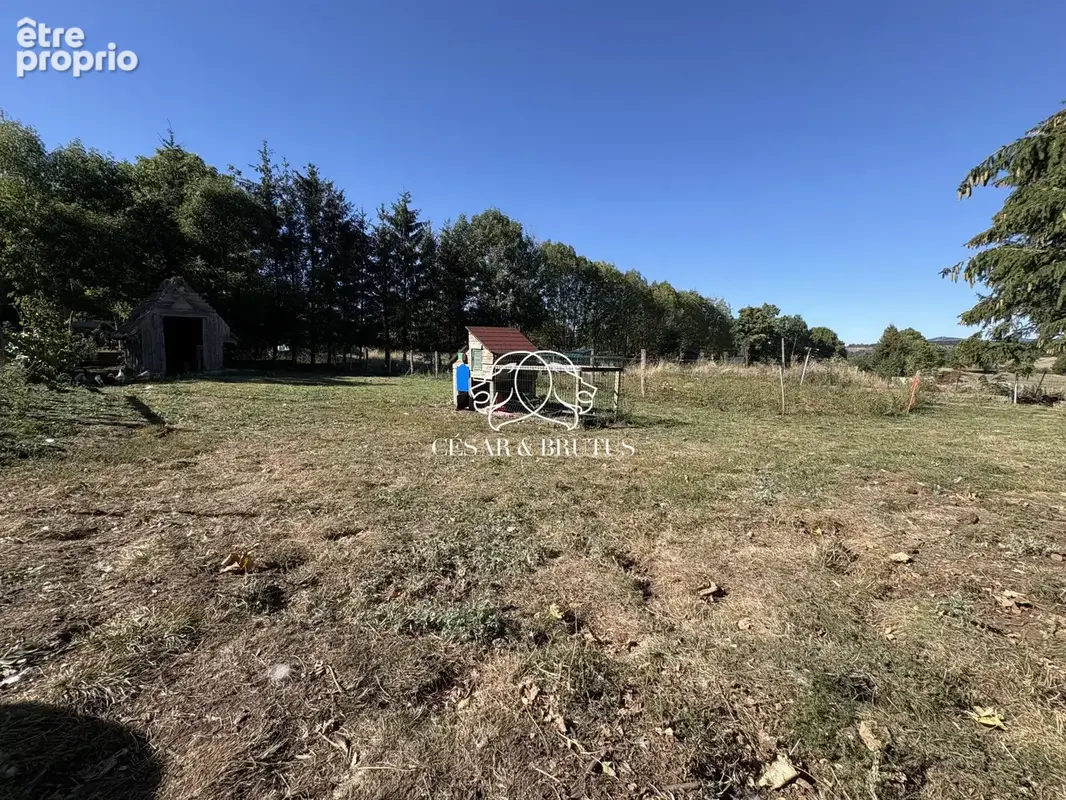 Photo Terrain à Moudeyres au prix de 25 000€