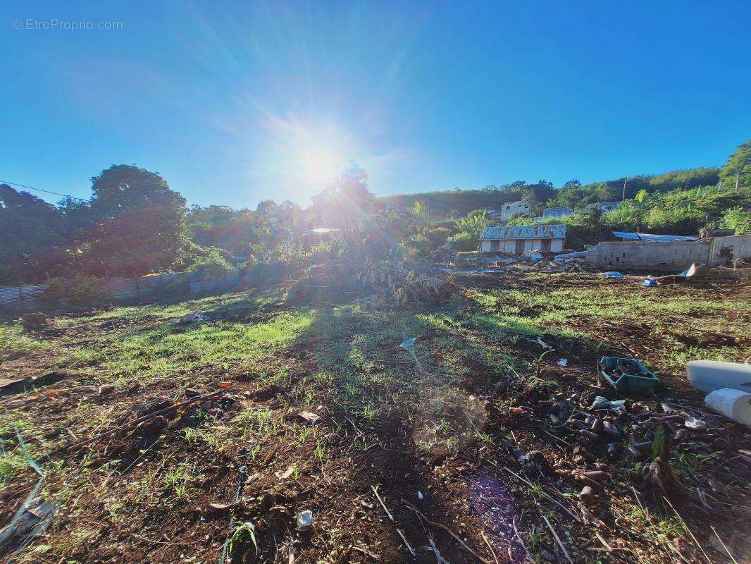 Terrain à SAINT-PAUL