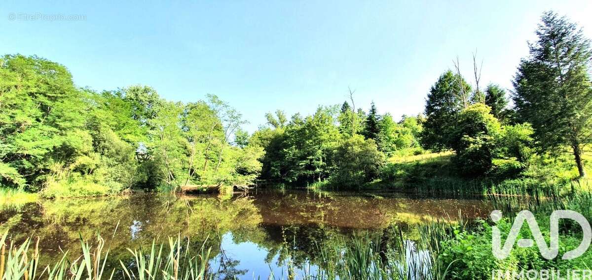 Photo 3 - Terrain à BRIVE-LA-GAILLARDE