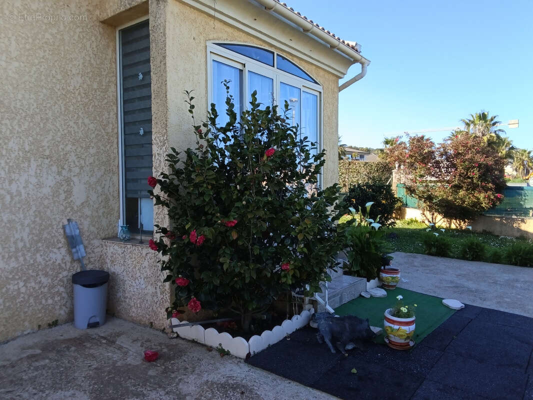 Maison à POGGIO-MEZZANA