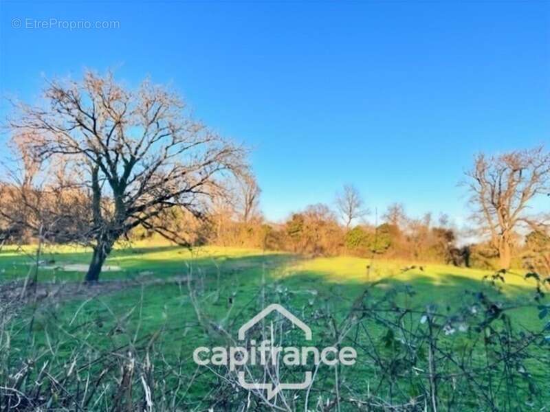Terrain à vendre  POISEUX (58) - photo 4