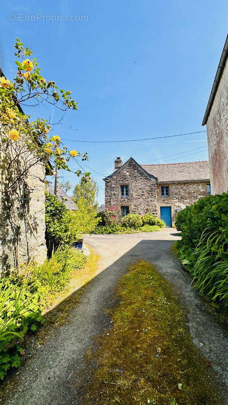 Maison à LE FAOU