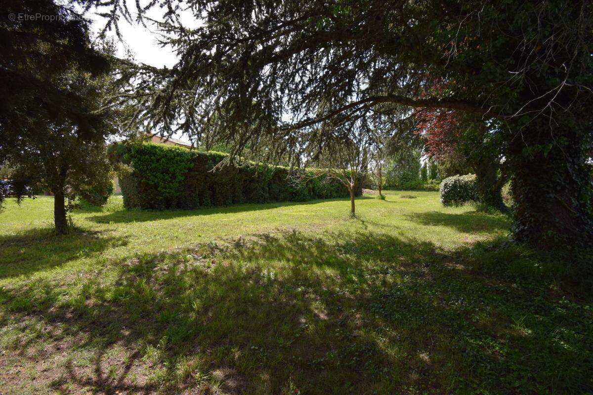 Terrain à SAINT-QUENTIN-LA-POTERIE