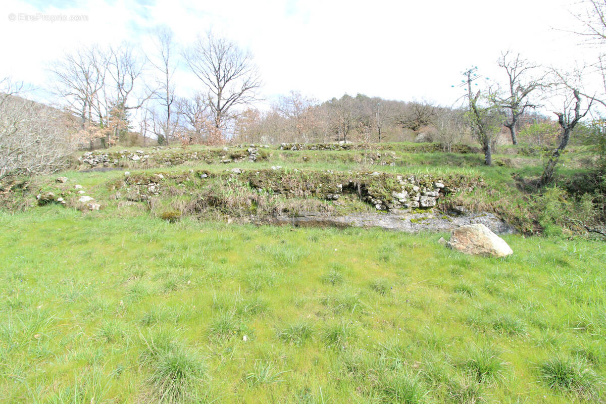 Terrain à SAINT-AFFRIQUE