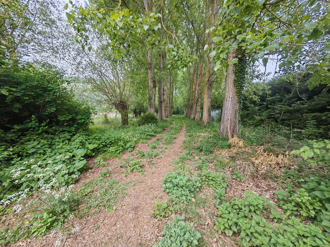 Photo 2 - Terrain à GONNEHEM