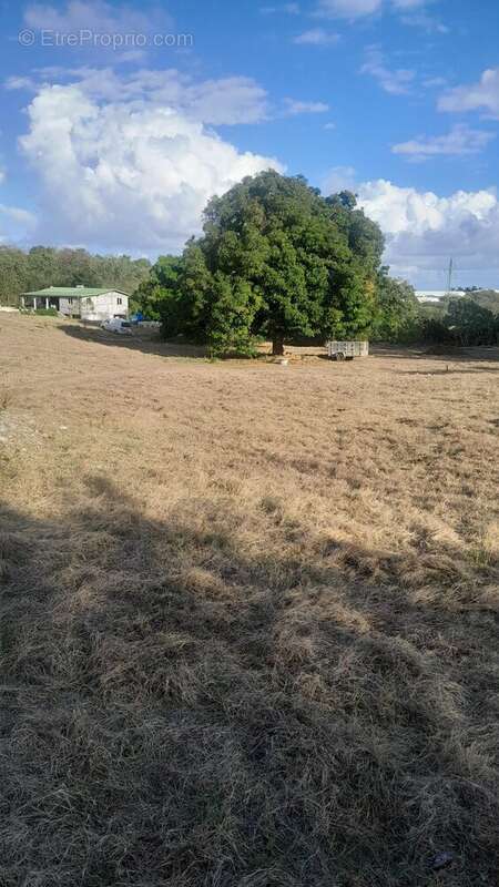 Terrain à SAINTE-ANNE