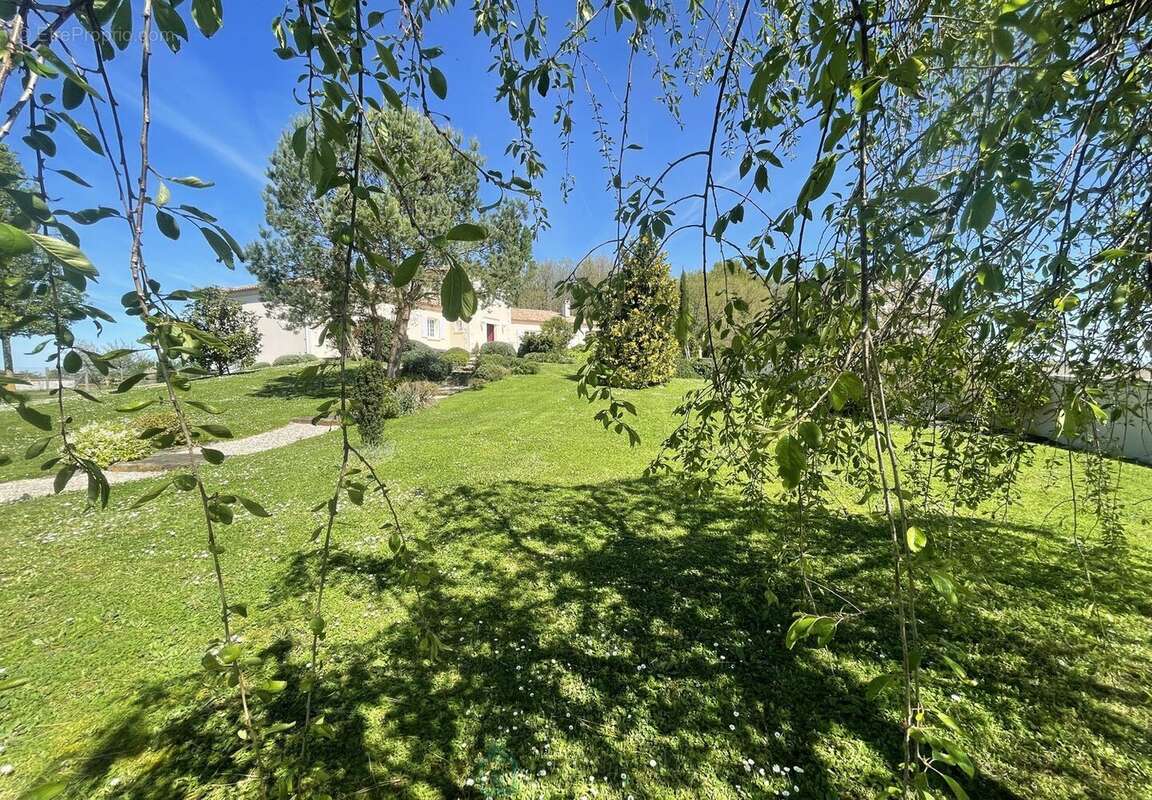 Maison et gite ind. avec un magnifique parc arbore de + de 4000 m² - photo 5