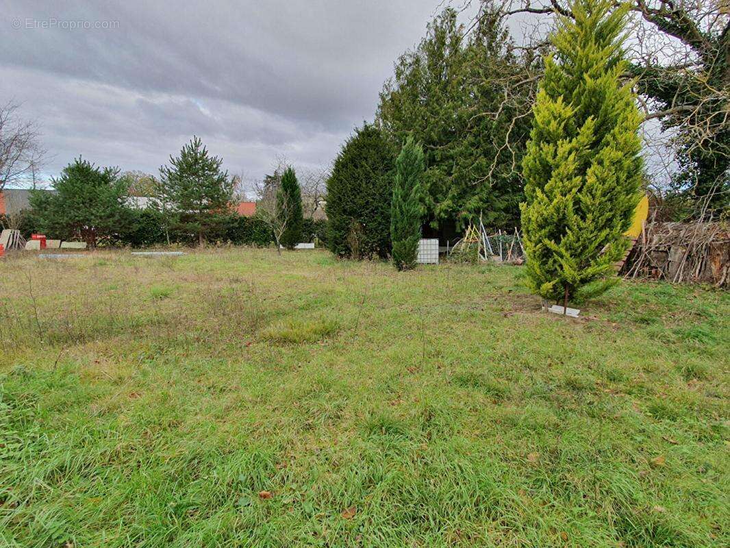 Terrain à CHATEAUROUX