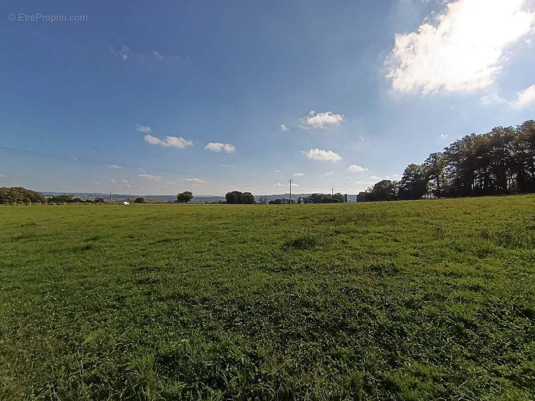 Terrain à SAINT-MARC-A-FRONGIER