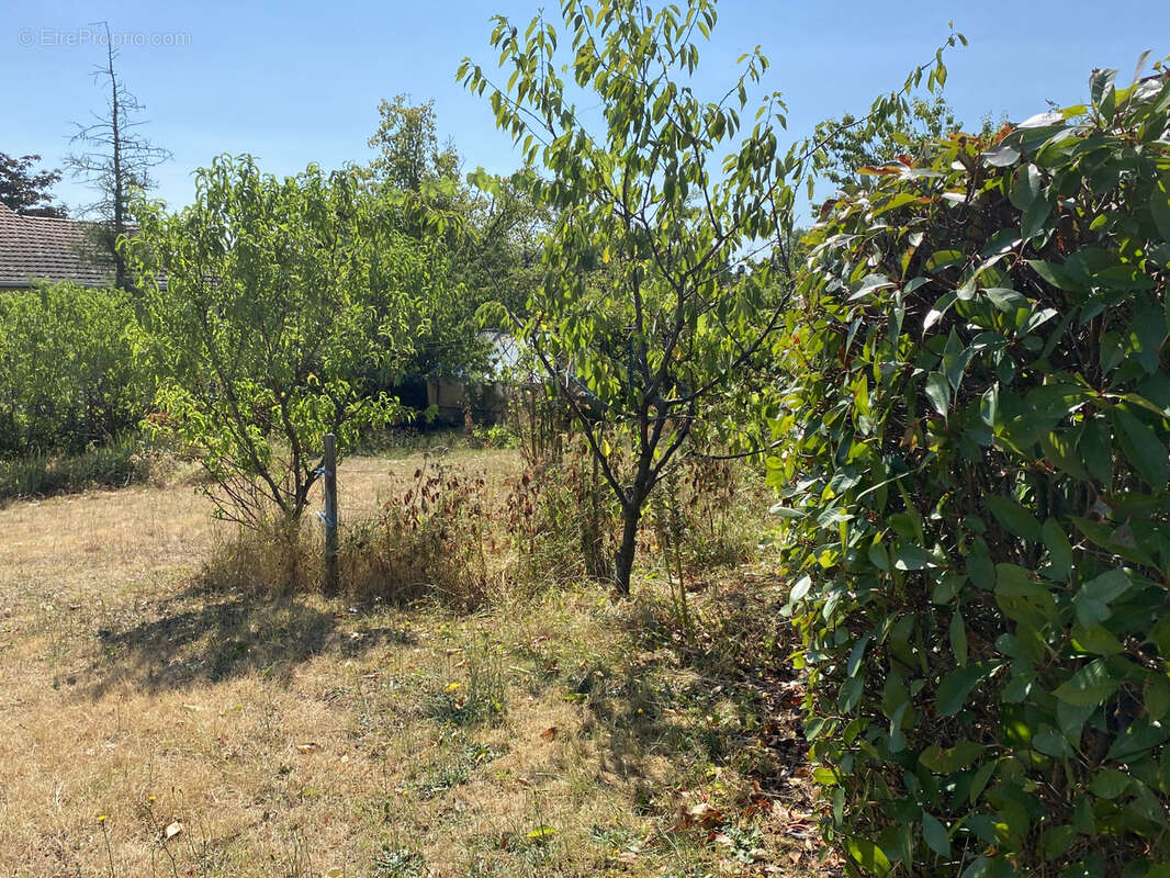 Parcelle de terrain à bâtir à Chazay-d'Azergues hors lotissement - photo 3