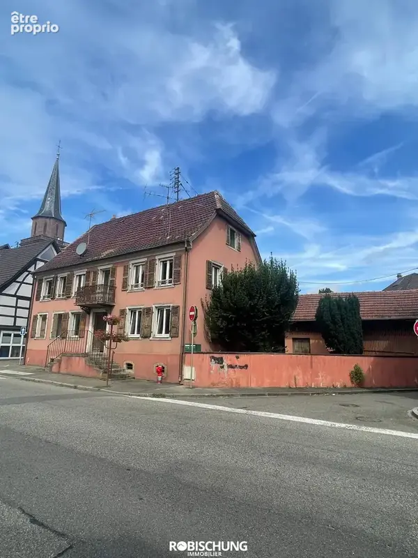DANNEMARIE : Maison individuelle avec 2 appartements + dépendance - photo 10
