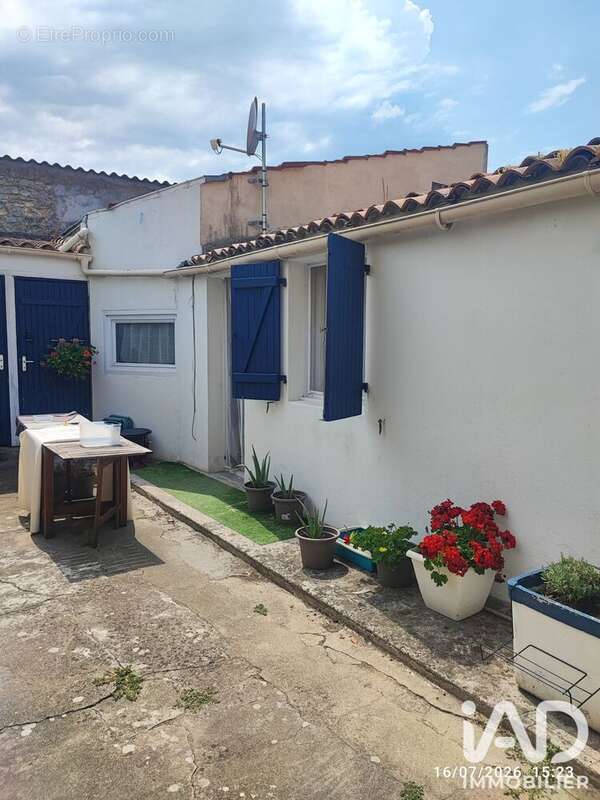 Photo 6