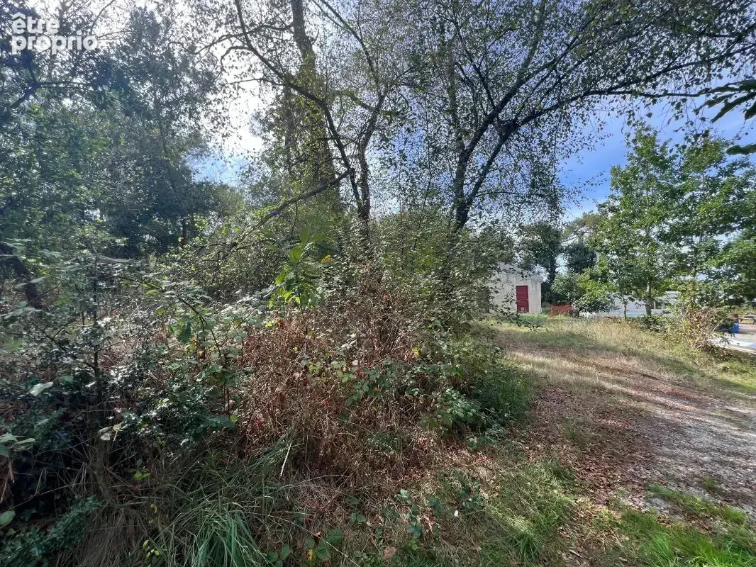 À vendre – argol – finistère – presqu’île de crozon-exceptionnel terrain de loisirs de 40 000 m² - photo 25