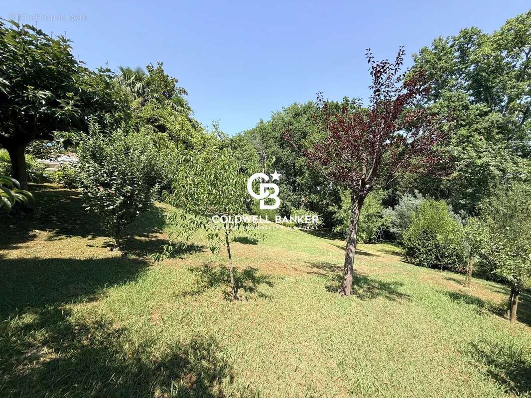 15 min de biarritz — propriété confidentielle dans un parc de 6 500 m² - photo 36
