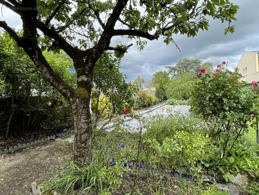 Maison à SABLE-SUR-SARTHE