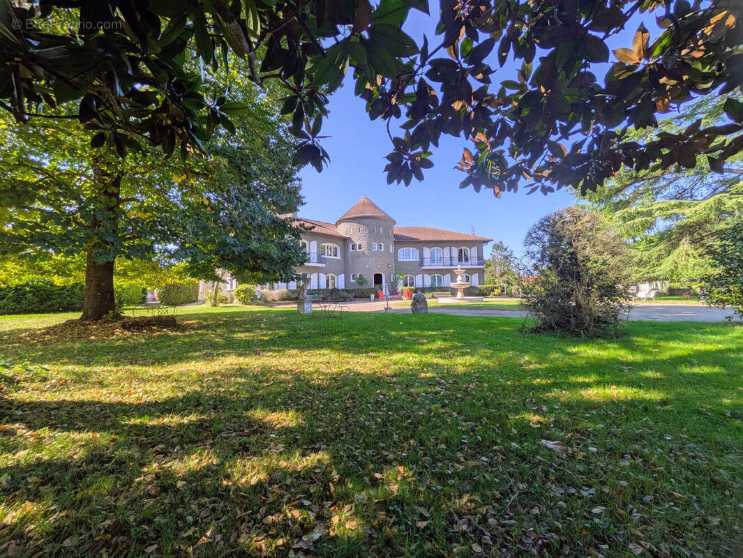Vue Parc - Maison à MONTEGUT-ARROS