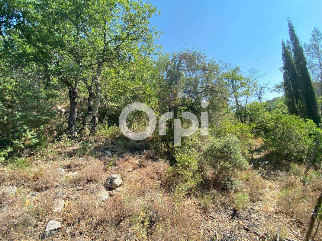 Terrain boisé non constructible / terrain de loisirs - chasse / bois / camping - photo 4