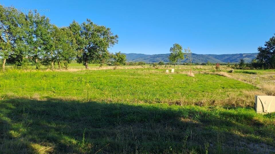 Terrain à SOUAL