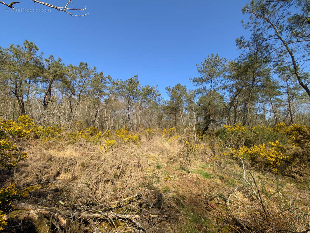 Terrain à CAMPENEAC