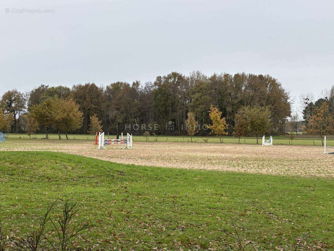Rare ! Propriété équestre clé en main à 15 min de Saumur - photo 4