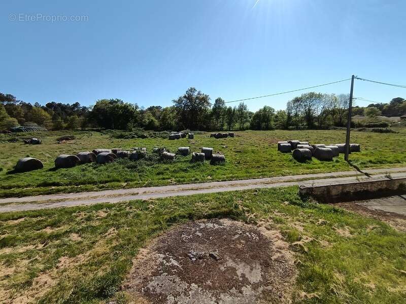 Maison à vendre 7 pièces CAMPUGNAN (33) - photo 14