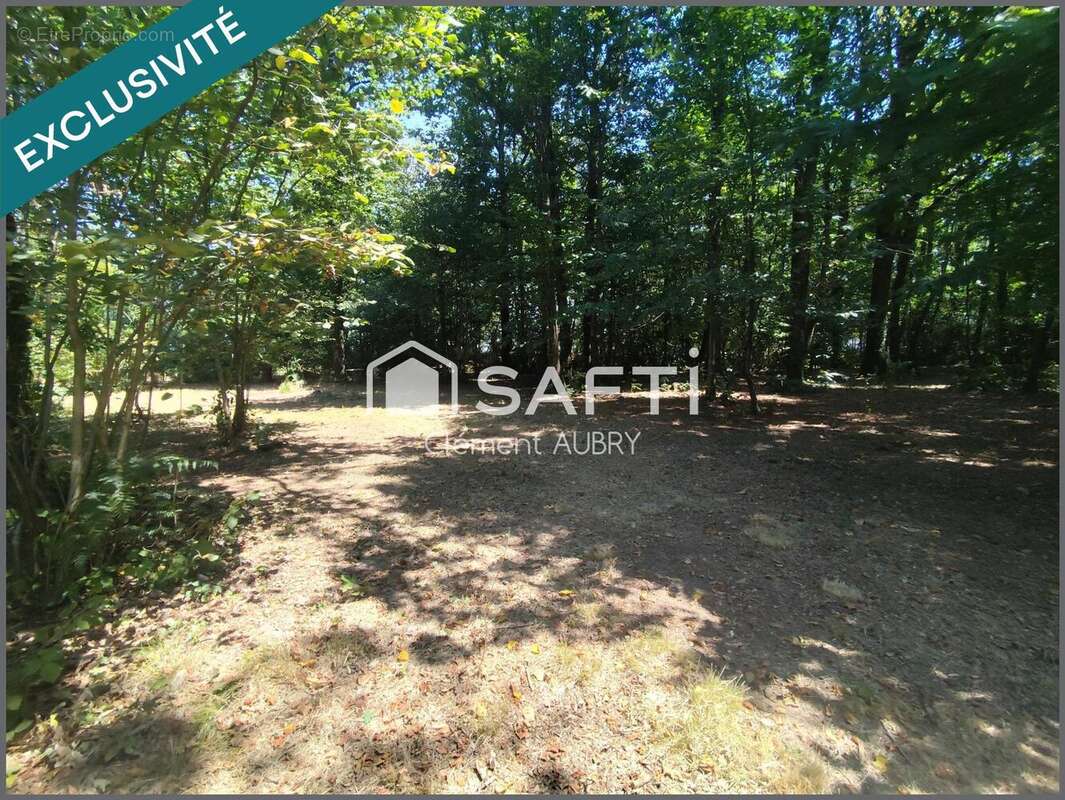 Terrain 7810 m² à Saint-Ouen-Des-Toits  - photo 5