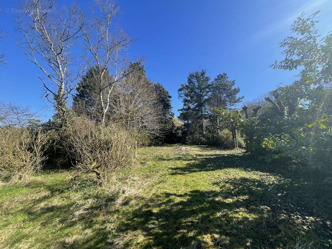 Maison à SAINT-OUEN-LES-VIGNES