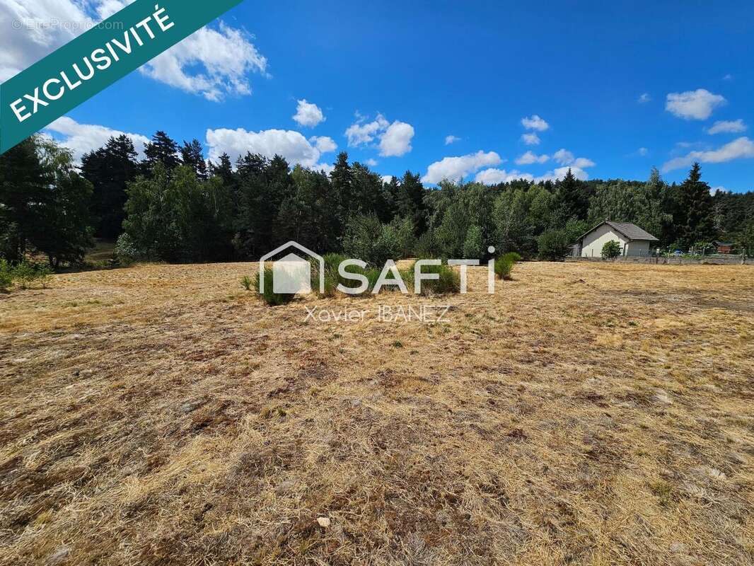 Terrain 6120 m² à Saint-Chely-D'apcher  - photo 6
