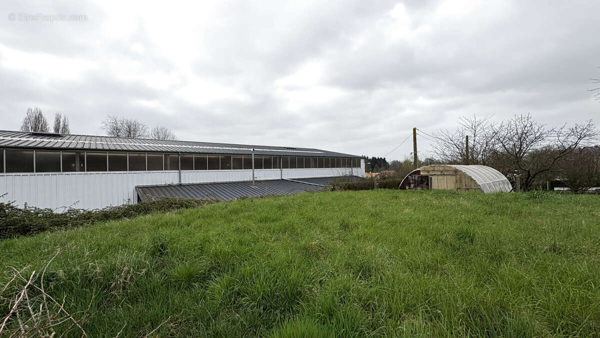 Terrain à bâtir en vente sur Chemillé-en-Anjou - Exclusivité AMP - photo 4