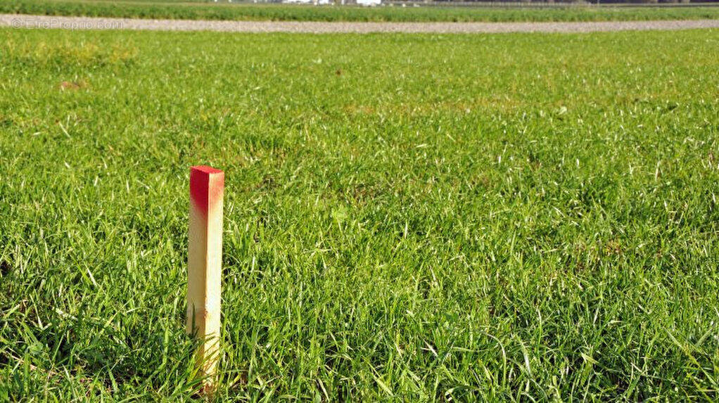 Terrain à SAINT-ANDRE-DE-CUBZAC