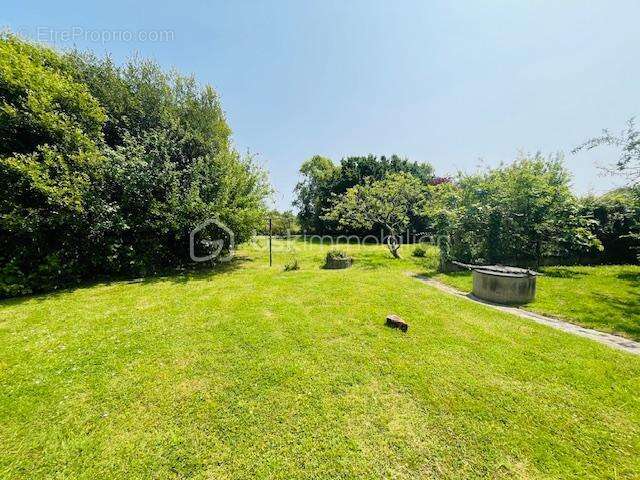 Maison à ILE-D&#039;ARZ