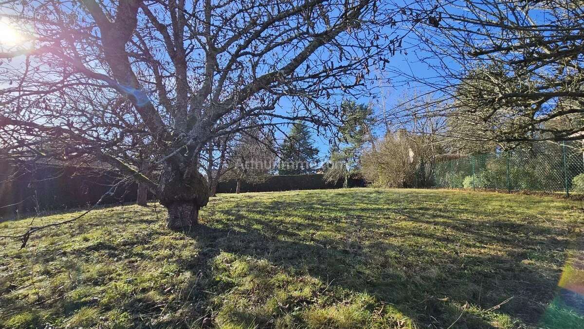 Terrain à FONTENAY-LES-BRIIS