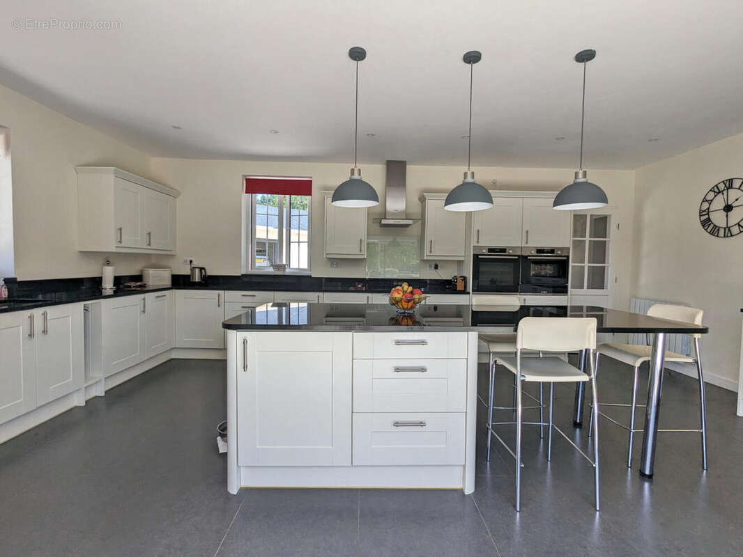 Maison de Maitre à vendre - Vienne - Maison à ROMAGNE