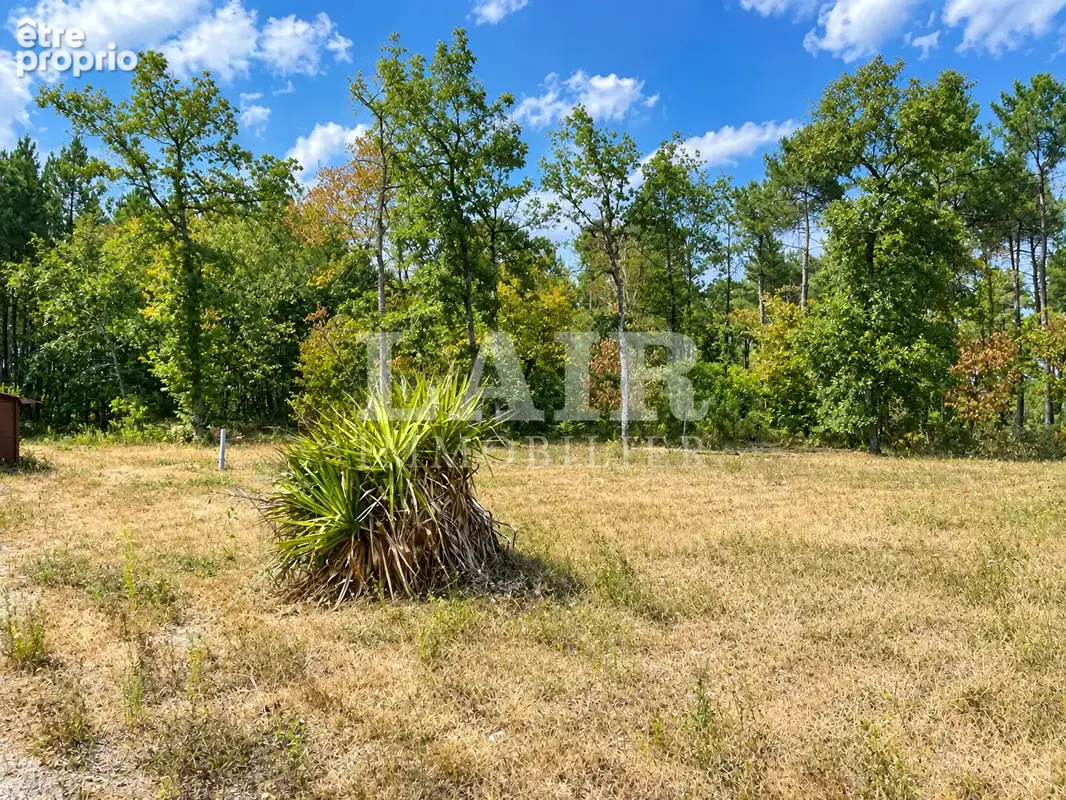 Terrain de loisir d'un hectare avec chalet en bois - Réf 15614 - photo 8