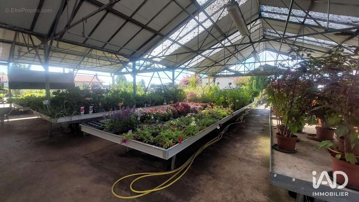 Photo 4 - Commerce à SAINT-MAGNE-DE-CASTILLON