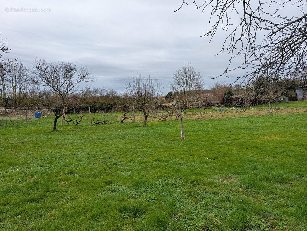 Terrain à LA MOTHE-SAINT-HERAY